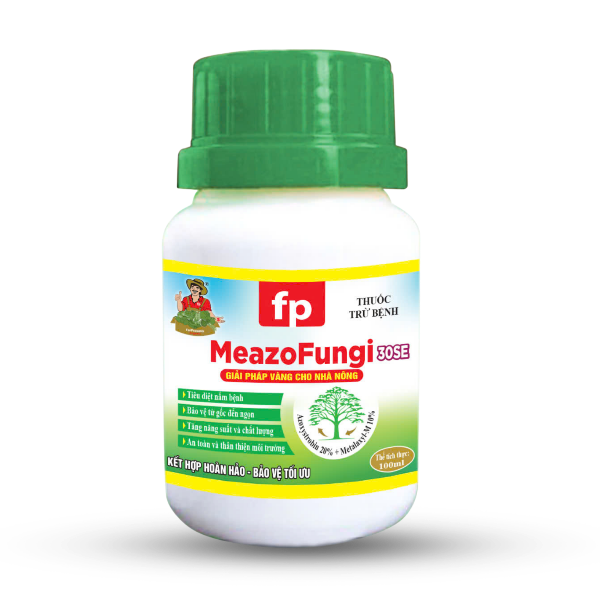 fp MeazoFungi
